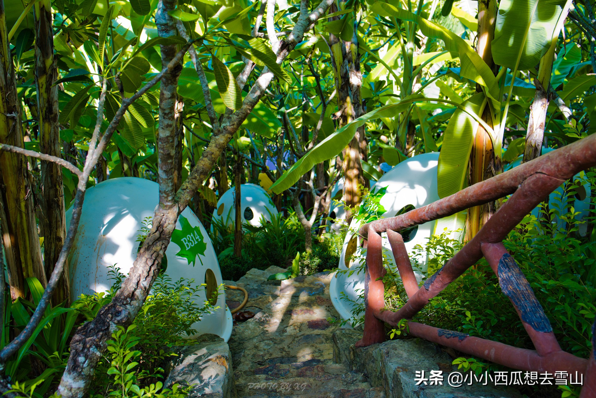 中国游客到越南芽庄旅游,回国后直言:这辈子都不想再去了